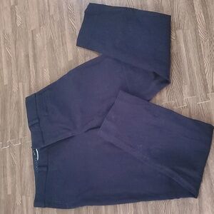 Banana Republic Slacks